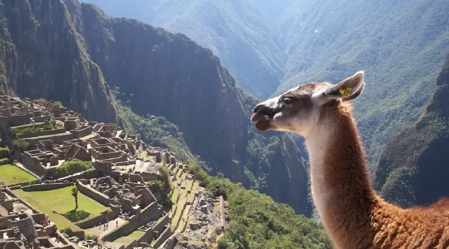 Machu Picchu