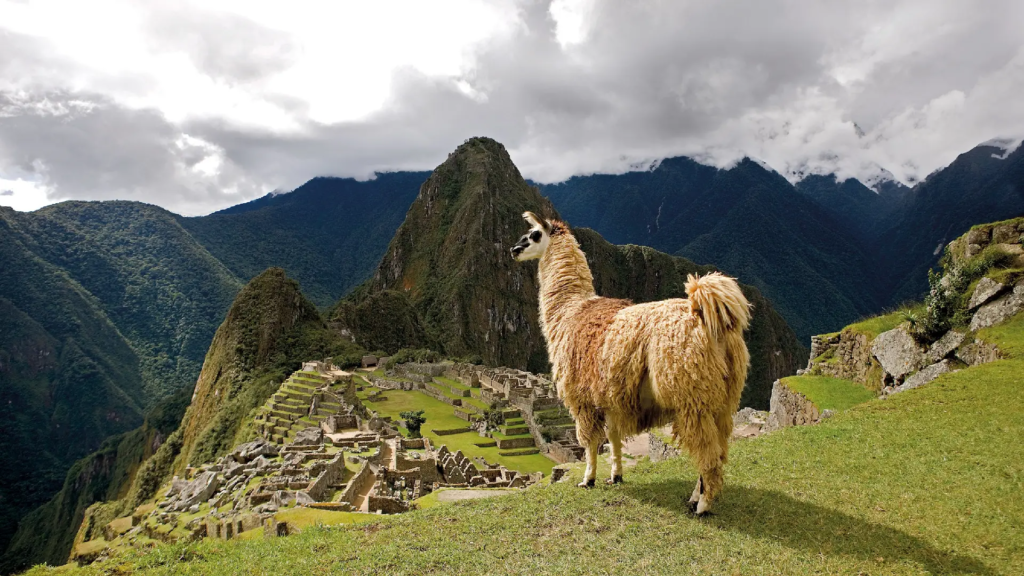 machu picchu