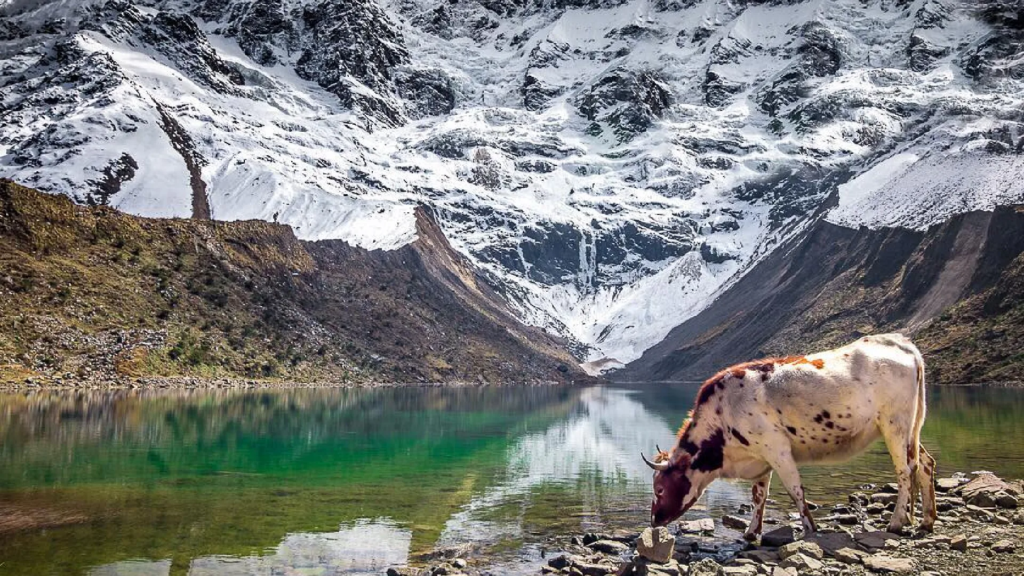 Humantay Lake