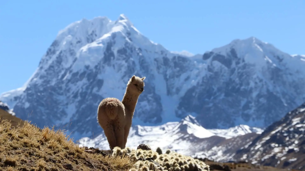 Mount Ausangate